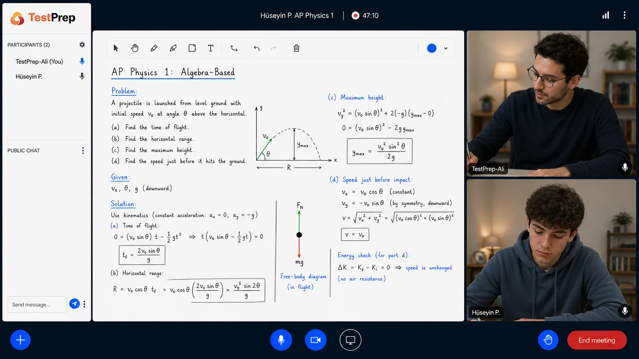 AP Physics 1 — one-to-one lesson