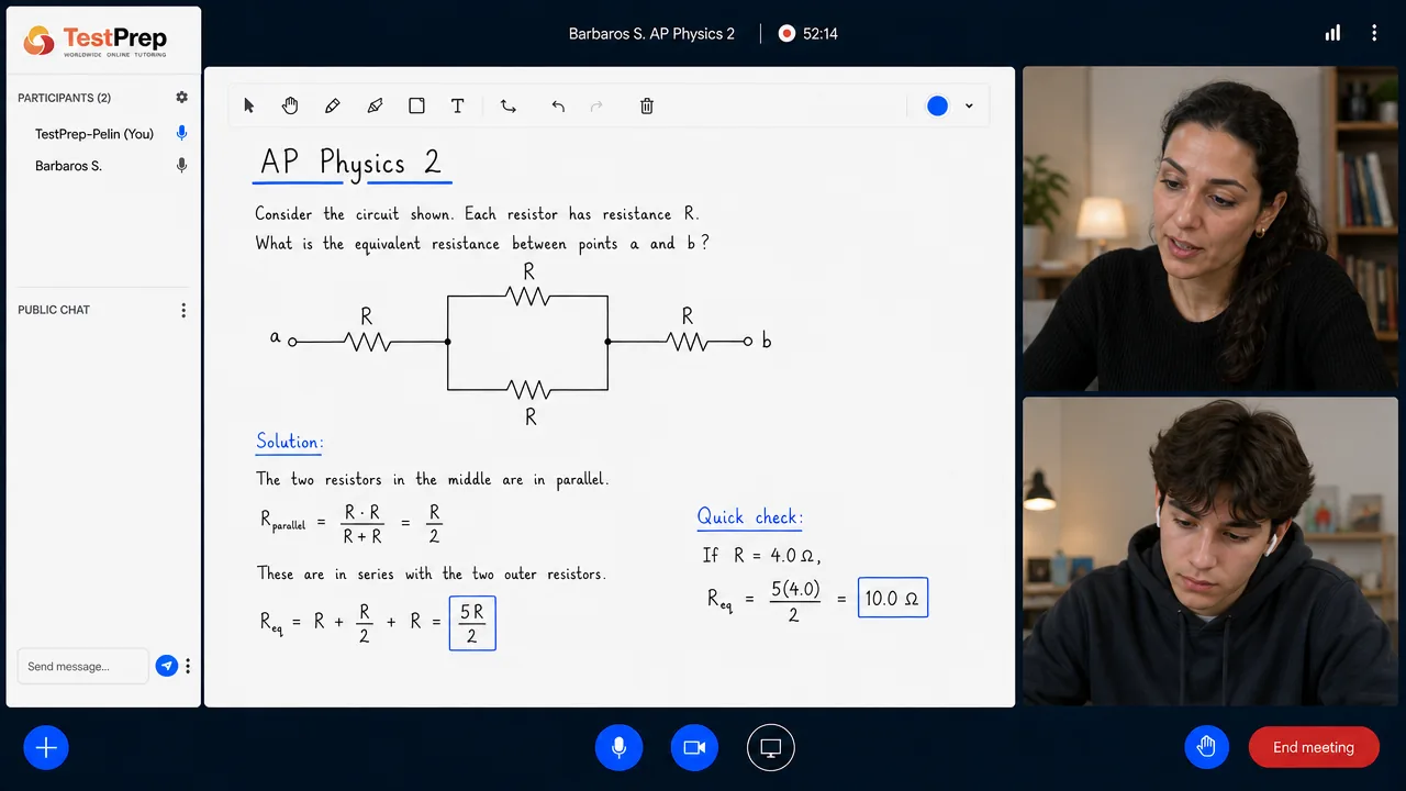 AP Physics 2 — one-to-one lesson