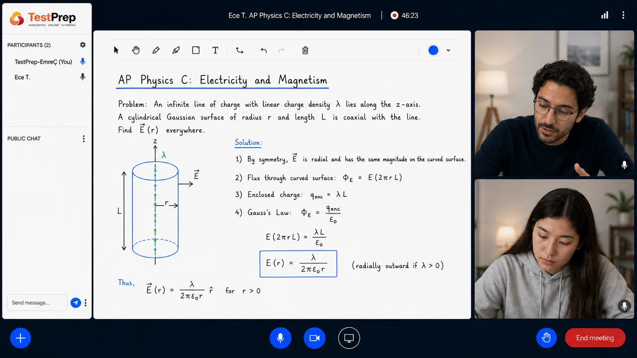 AP Physics C: Electricity and Magnetism — one-to-one lesson