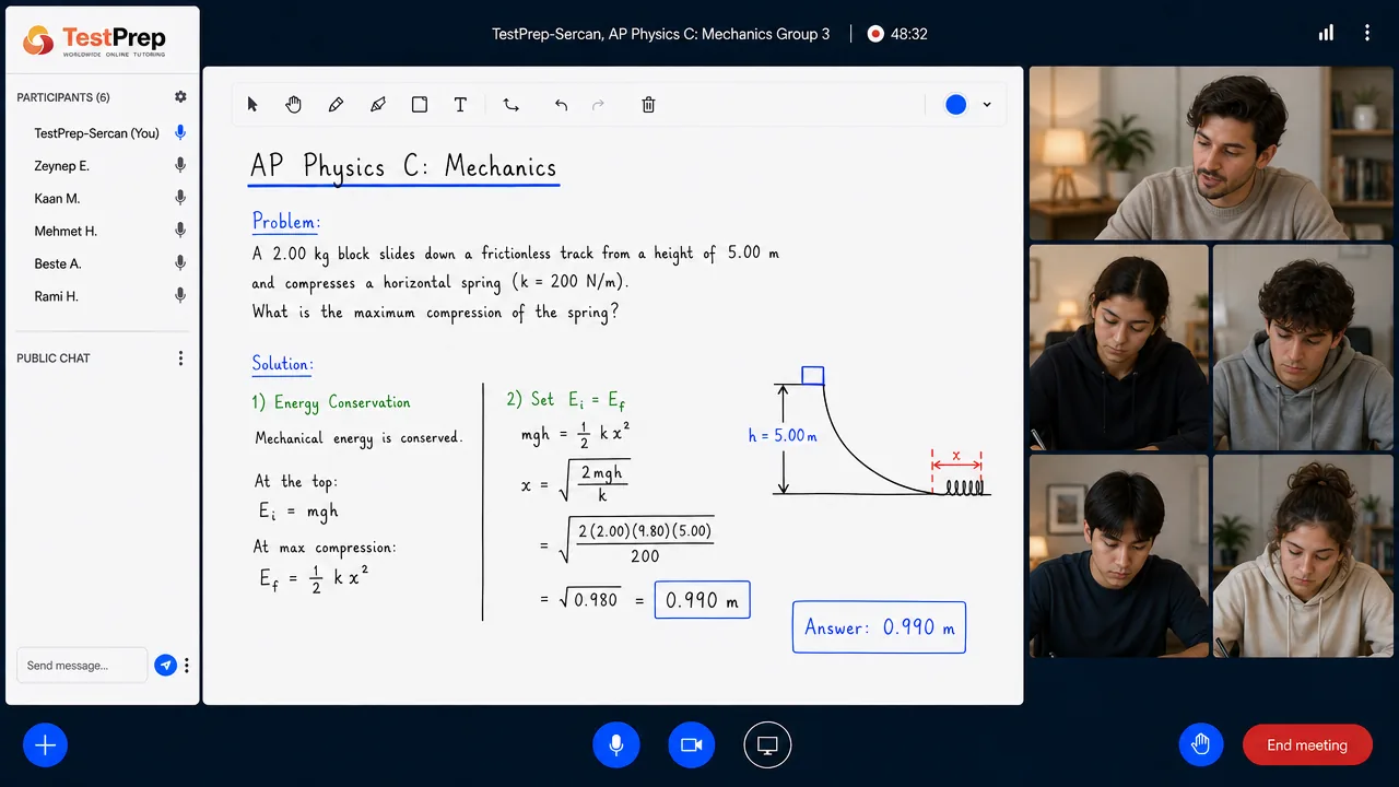 AP Physics C: Mechanics — group lesson