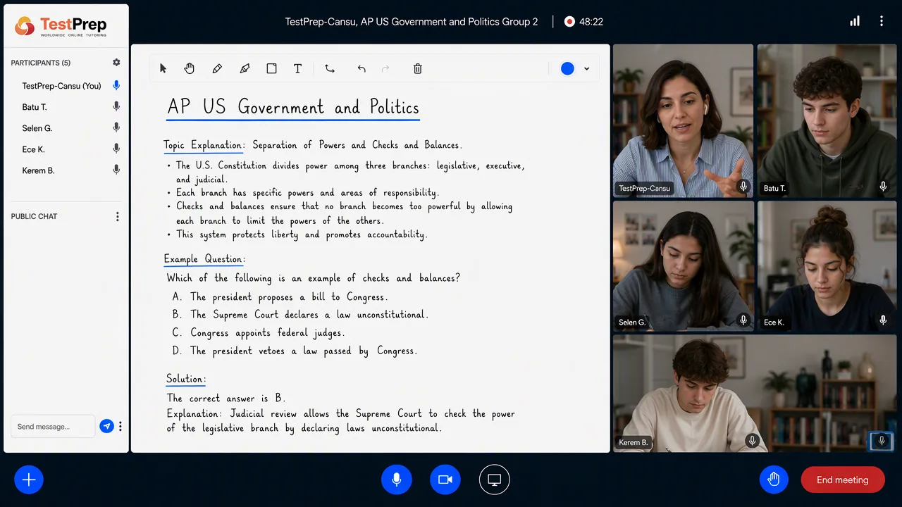 AP United States Government — group lesson