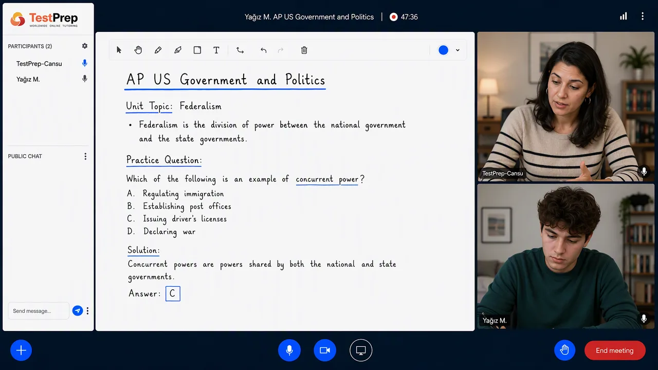 AP United States Government — one-to-one lesson
