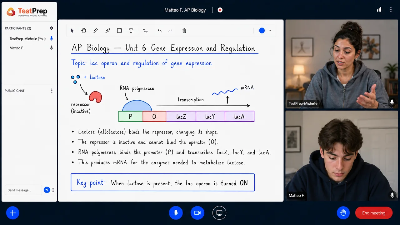 From a TestPrep AP Biology private lesson