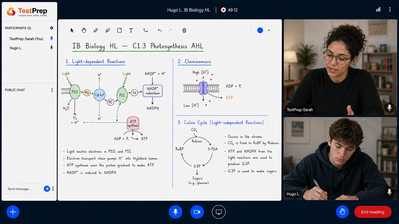 From a TestPrep IB Biology HL private lesson — photosynthesis: the light-dependent reactions, chemiosmosis through ATP synthase and the Calvin cycle