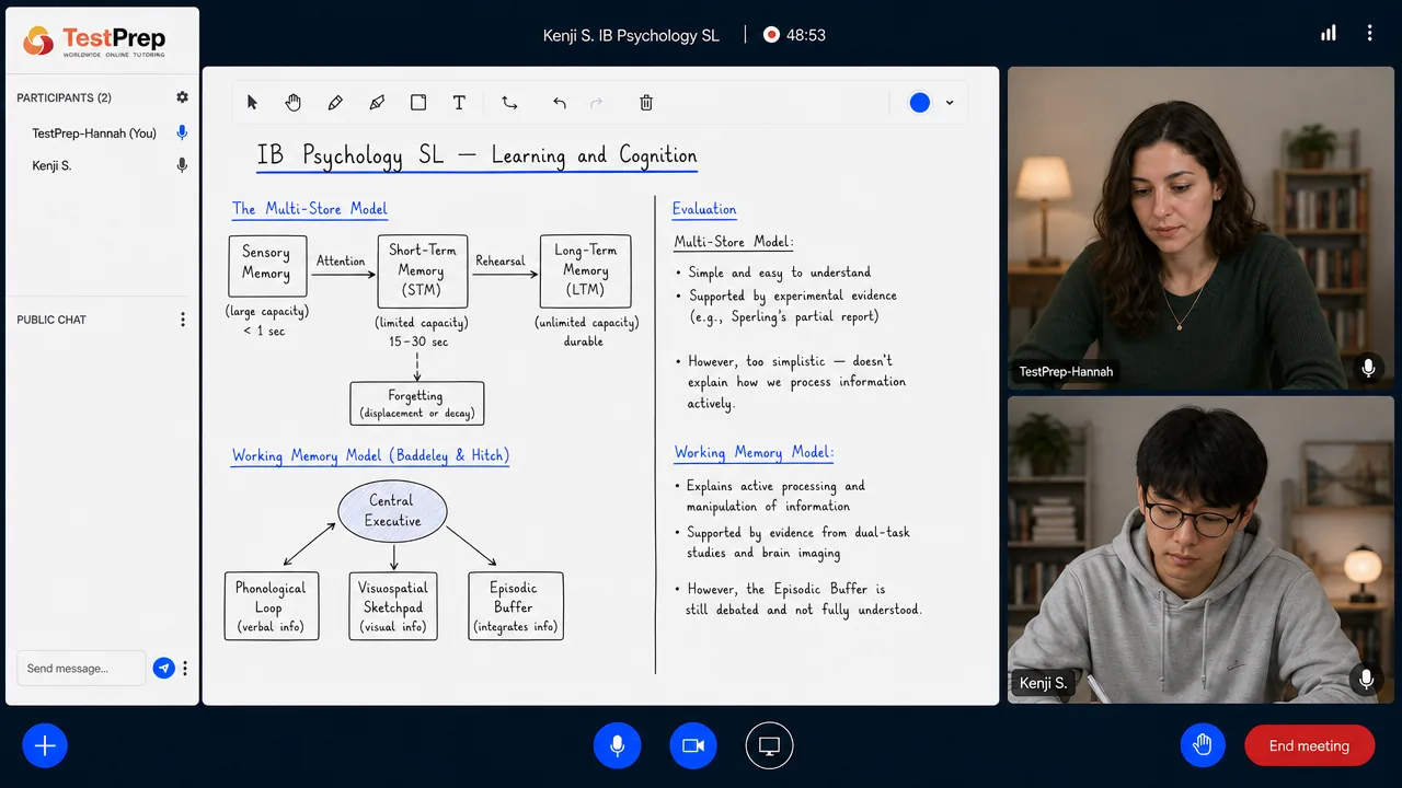 From a TestPrep IB Psychology SL private lesson — the multi-store model and the working memory model, with strengths and limitations of each